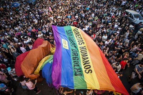 O Movimento LGBT e suas conquistas no Brasil Tupãense Notícias