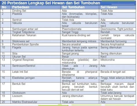 Perbedaan Sel Hewan Dan Sel Tumbuhan Lengkap 53592 The Best Porn Website