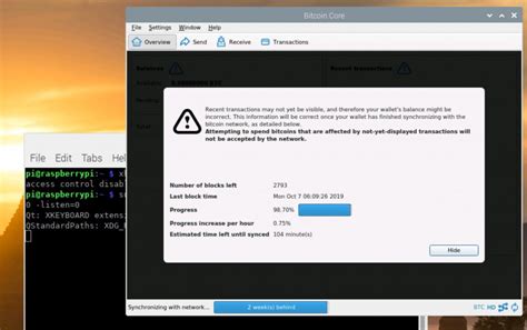 You'll see the loading image and then the gui with a message that shows the syncing status. Bitcoin Full Node on Raspberry Pi 4 (remote install) - 7 Red Bits