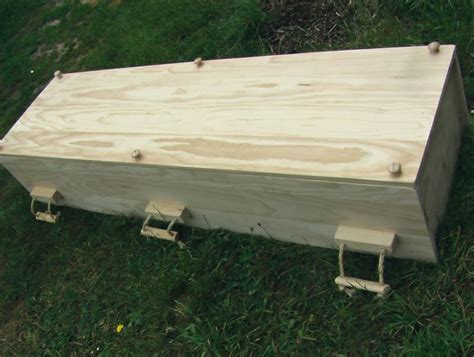 28 Best Images About Build My Coffin On Pinterest In Pictures Libros
