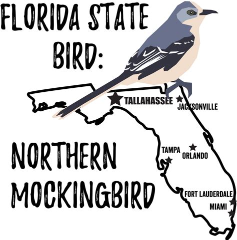 Florida State Bird Bird Watching Academy