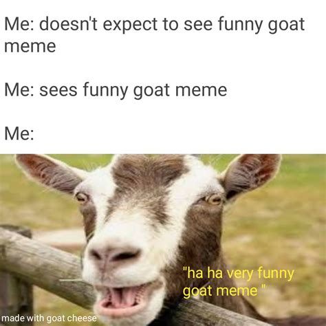 Not A Funny Goat Meme Rmemes