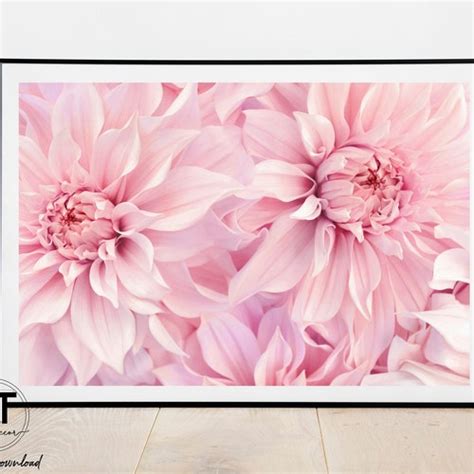 Pink Peony Wall Art Floral Wall Decor Digital Download Etsy
