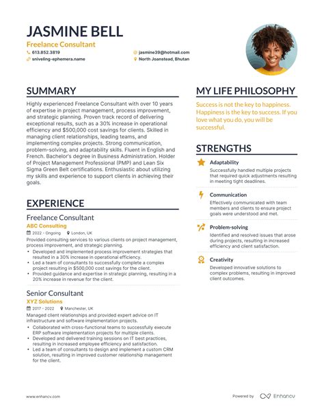 3 Freelance Consultant Resume Examples And How To Guide For 2023