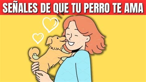 🐈 ️10 SeÑales De Que Tu Perro Te Ama Con Locura ️ Youtube