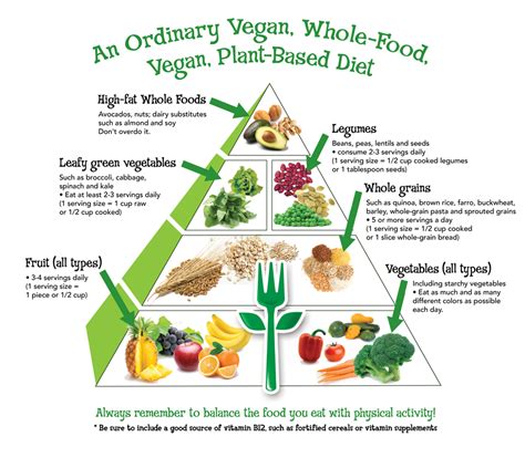 Vegan Food Pyramid For Weight Loss