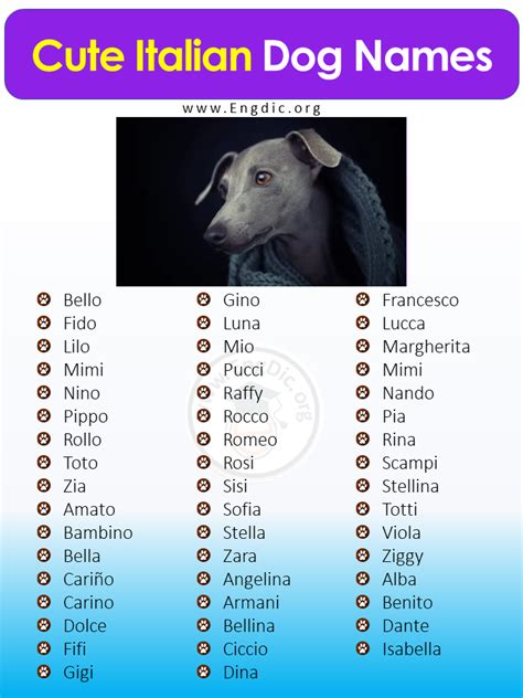 300 Best Italian Dog Names Male Female Engdic