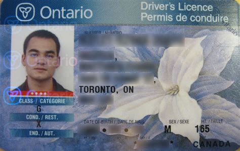 Drivers License Number Format Ontario Upstart