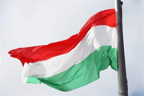 The flag of hungary (hungarian: Learn Hungarian - PART 1: words, sentences to check before ...