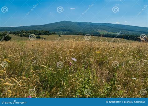 Green Slopes Overgrown With Grass On A Background Of Mountains Under A