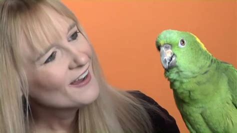Train Your Parrot To Talk Animal Training Fundamentals