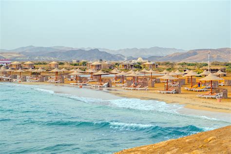 Marsa Alam Egypt Best Things To Do In Marsa Alam