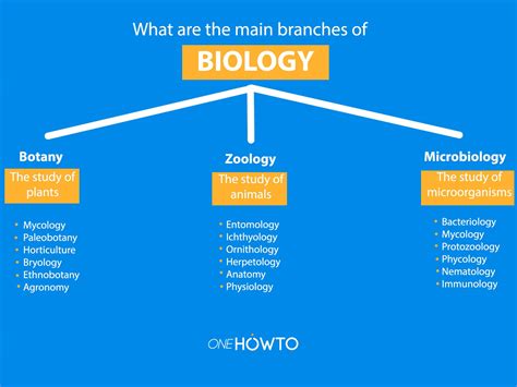 5 Branches Of Biology