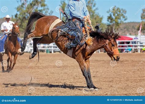 Bucking Bronco Horse At Country Rodeo Stock Image Image Of Dusty