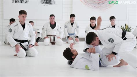 Furthering The Art How The Mendes Brothers Plan To Revolutionize Jiu
