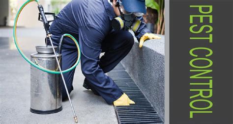 Ej's pest control is an insured and licensed pest control company that services residential, commercial, and government spaces throughout dc. Travsec, Guateng - Cylex® profile