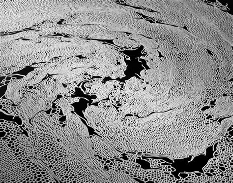 Motoi Yamamoto The Poetry Of Salt — Cercle