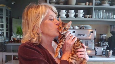 Meet Martha Stewarts Beautiful New Bengal Kittens Trendradars
