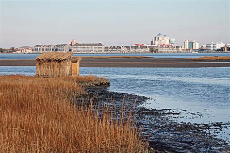 Low Tides | Eastern Shore Magazine
