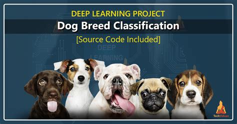 Dogs Breed Identification Using Deep Learning Techvidvan