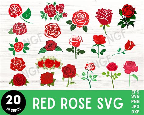 Rose Svg Bundle Roses Svg Rose Clipart Flower Svg Roses Etsy