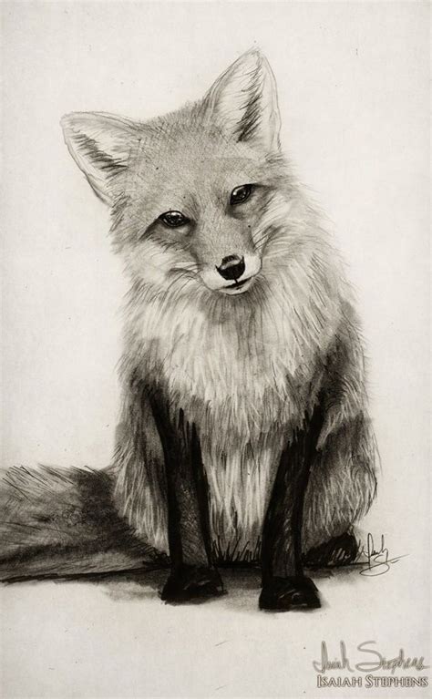 85 Simple And Easy Pencil Drawings Of Animals For Every Beginner