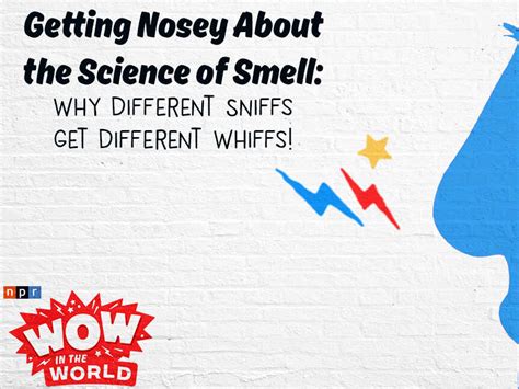Getting Nosey About The Science Of Smell Why Different Sniffs Get
