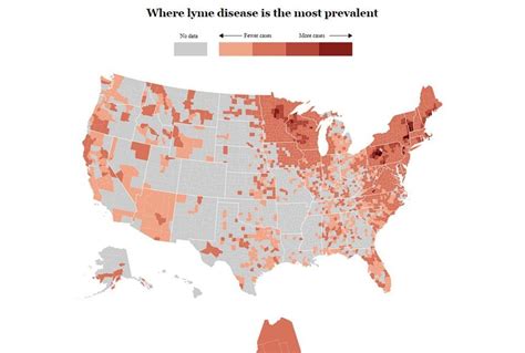 Lyme Disease States Map
