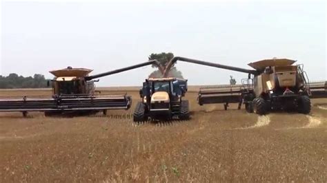 Big Claas Lexion Combines Harvesting Wheat Youtube