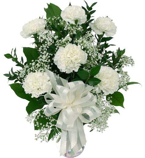 There are few areas with active or open sand dune complexes in the country, including the spirit sand dunes within canadian range. 6 White Carnations · Sympathy Budget · Canada Flowers