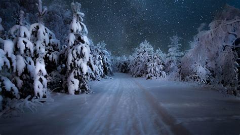 Snowy Forest At Night Wallpapers Top Free Snowy Forest At Night
