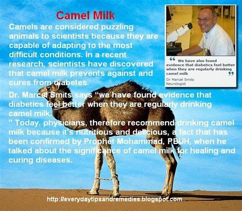 Tips And Remedies Healing Properties Of Camel Milk