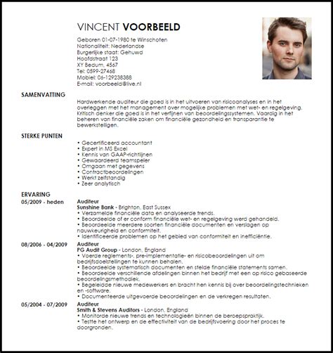 Create beautiful, professional cvs in minutes. Voorbeeld CV Auditor | LiveCareer