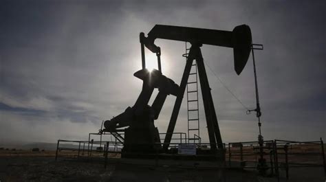 Paramao oil, is a natural product from a tree and almost impossible to replicate artificially. COVID-19: Oil industry asks for a break as ...