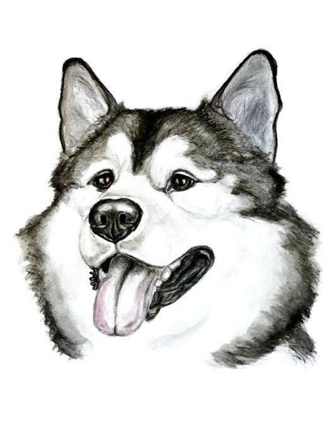 Siberian Huskies Dog Art