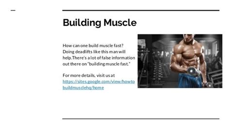 How To Build Muscle With Noob Gains