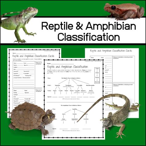 Reptile And Amphibian Classification Activities My Teaching Library