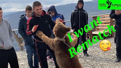 Khabib Nurmagomedov Fighting With Bear New Footage 2019 Youtube