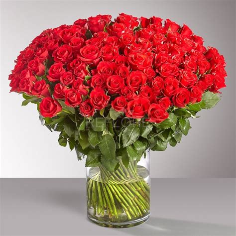 Floraqueen consegna mazzi di rose e fiori, anche in 24 ore, in tutto il mondo. Mazzo di cento rose rosse gambo lungo qualità extra