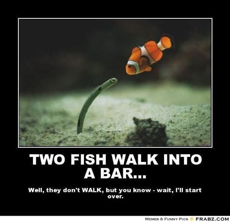 24 Hilarious Fish Memes Proving You Can Be Funny Without Even Talking