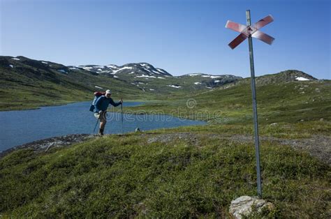 Hiking In Swedish Lapland Man Traveler Trekking Alone With View Of