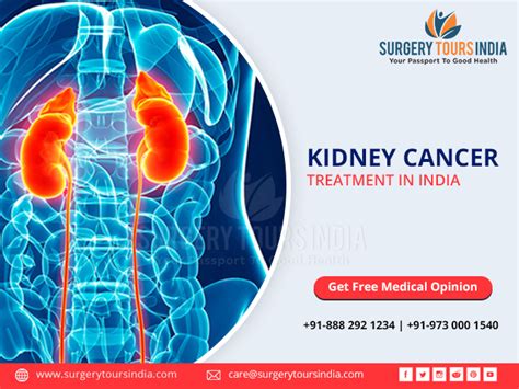 Kidney Cancer Treatment In India