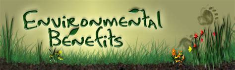 Environmental Benefits Of Compost