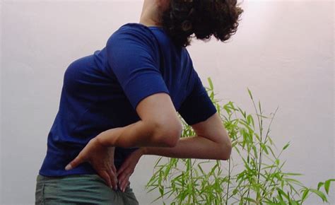 Acupressurelowerback Acupressure Certified Online Training And Courses