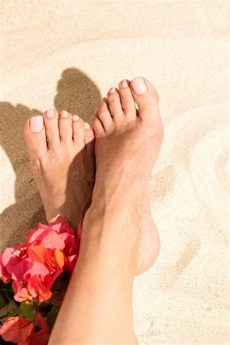 Woman Tanned Legs On Sand Beach With Pink Buganvilia Flower Travel And