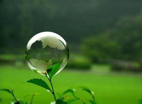 Amaging Beautiful Photo Collection Most Beautiful Things Of The World