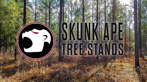 Skunk Ape Tree Stand Installation Video Youtube