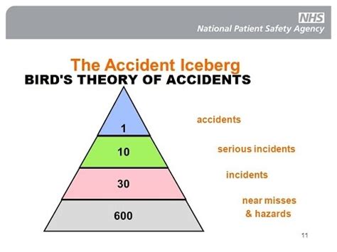 Bird in hand is a theory that was made to combat its rival, the dividend irrelevance theory. bird's theory of accidents - YouTube