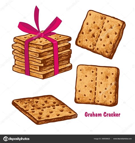 Stack Separate Graham Crackers White Background Vector Set Cookies