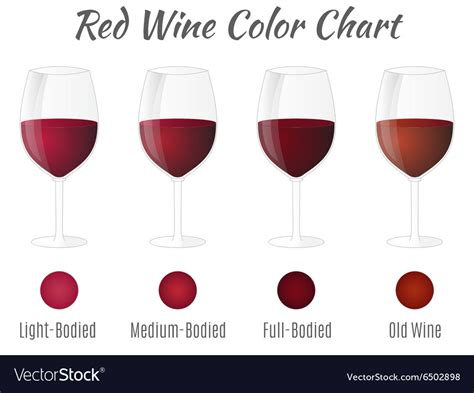 Red wine color chart hand drawn wine glasses Vector Image